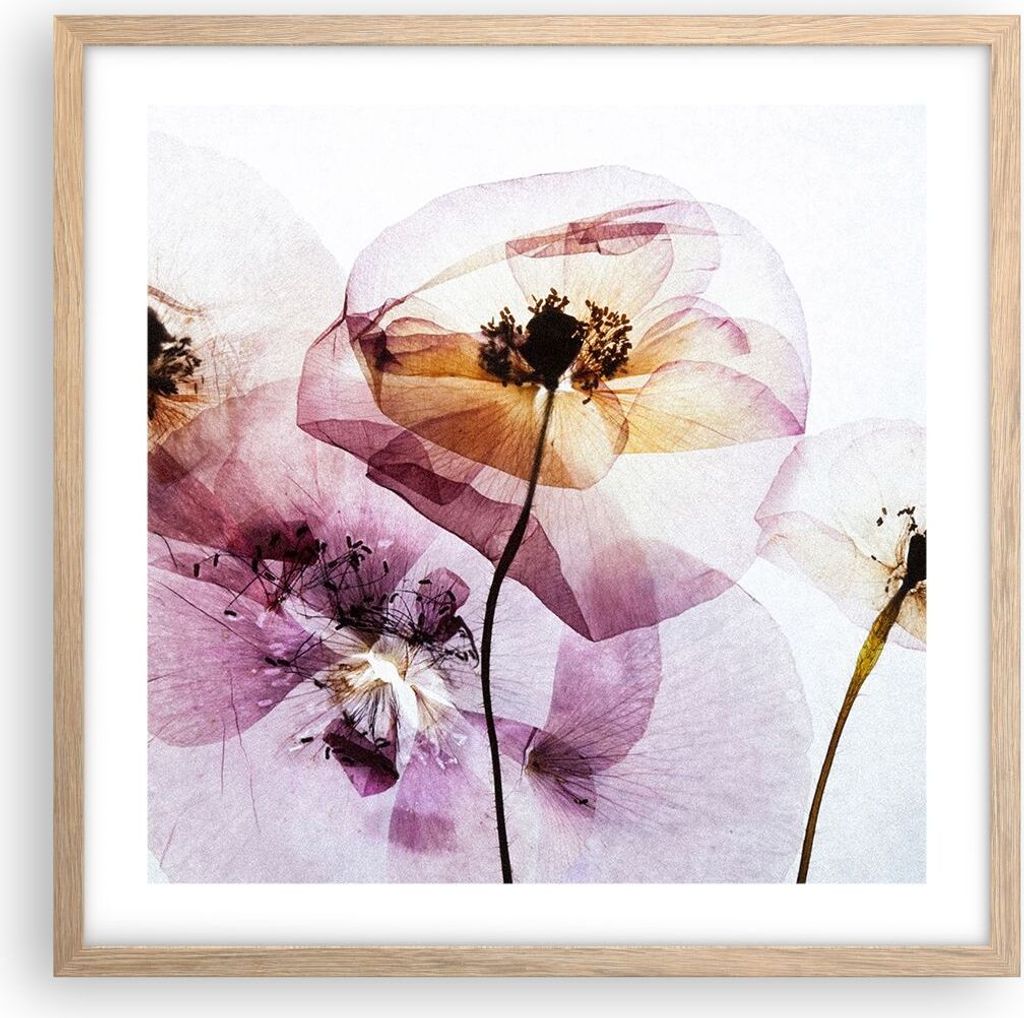 Gerahmtes Poster - Rahmen in heller Eiche - blume sommer natur - 50x50 cm - Wand Bild - Wanddeko - Wandbilder - Wandposter - Bilderrahmen - Bilder ...