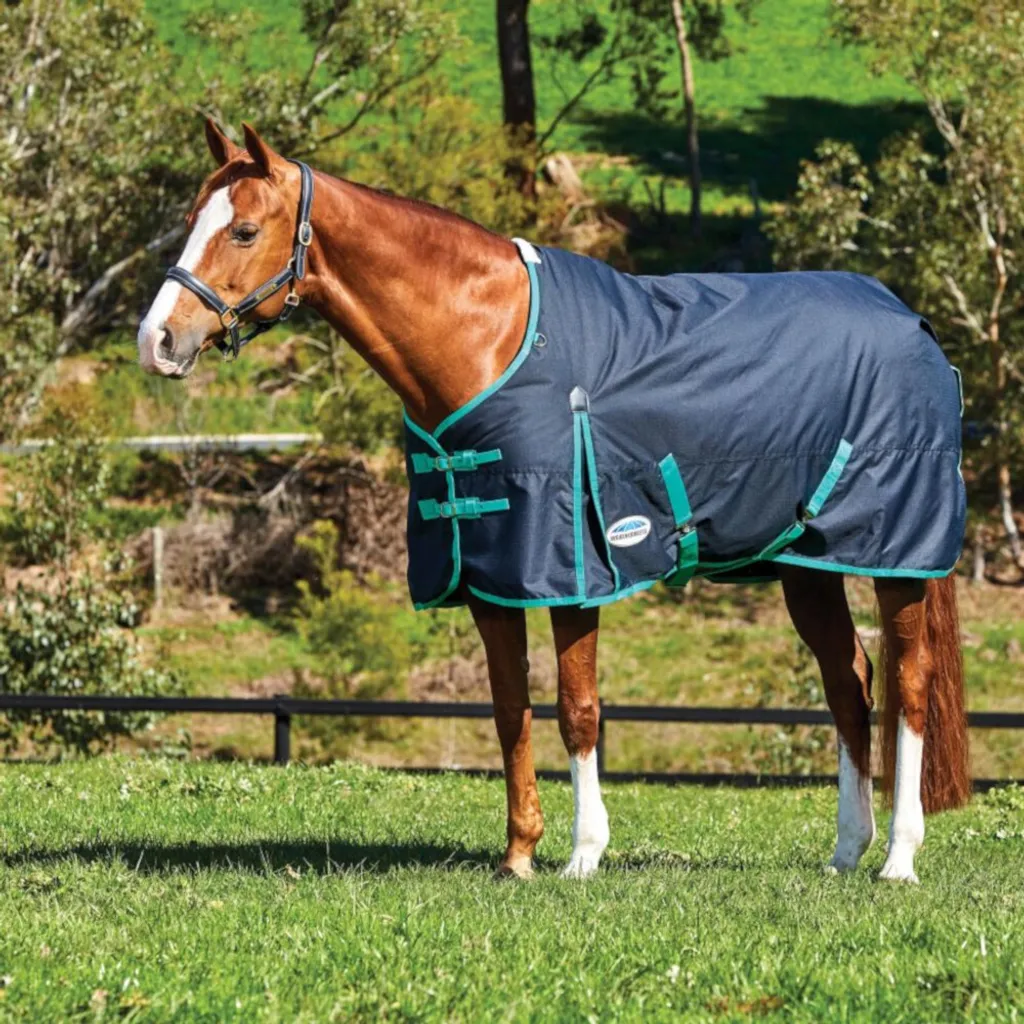 Weatherbeeta Comfitec Classic 220g Nero/Verde 160 | Coperta Cavallo