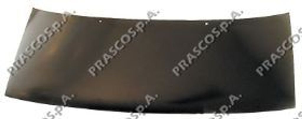Prasco Motorhaube FT1503100