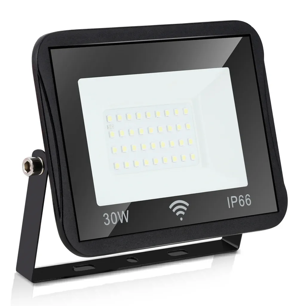 Proiettore LED 30W SWANEW IP66 Professionale Bianco Freddo 120°