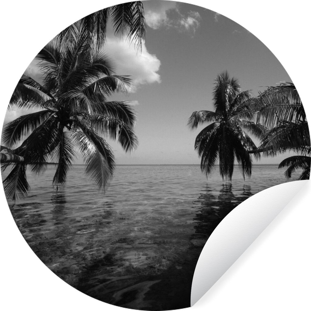 MuchoWow Runde Wandtattoo - Wandsticker Tapete Aufkleber Reflexion von Palmen im Meer von Mo'orea in schwarz und weiß Ø 30 cm Selbstklebend und...