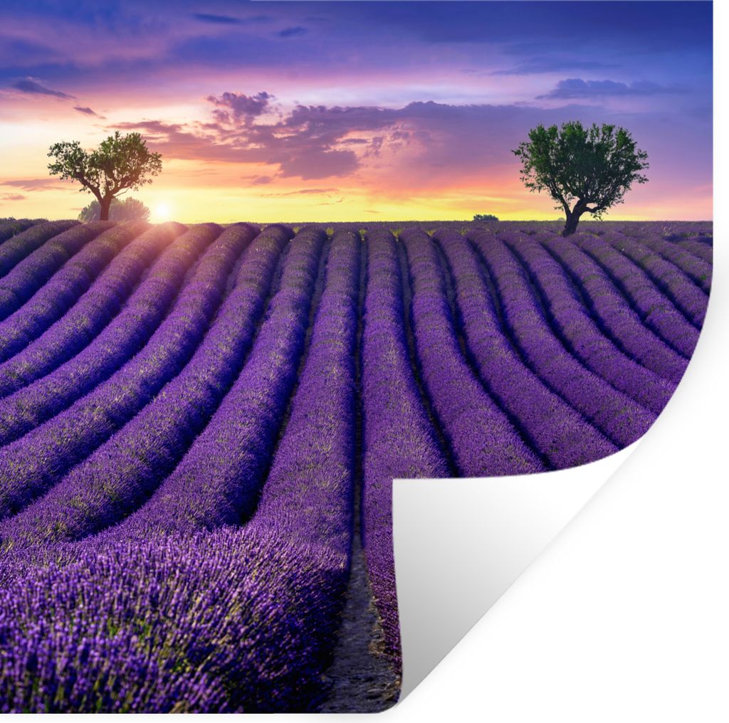 MuchoWow Wandtattoo Wandsticker Wandaufkleber Lavendel - Hügel - Sonnenuntergang - Bpmen - Lila 100x100 cm Selbstklebend und Repositionierbar - ...