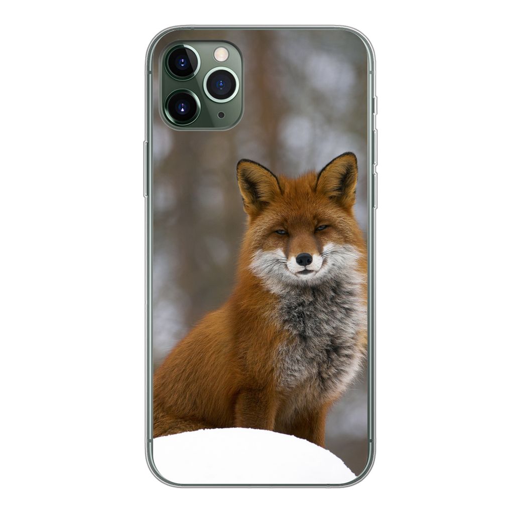 MuchoWow Handyhülle Schutzhülle Hülle für iPhone 11 Pro Max Fuchs - Wald - Rot Silikon Softcase Handy Hülle - Schutz