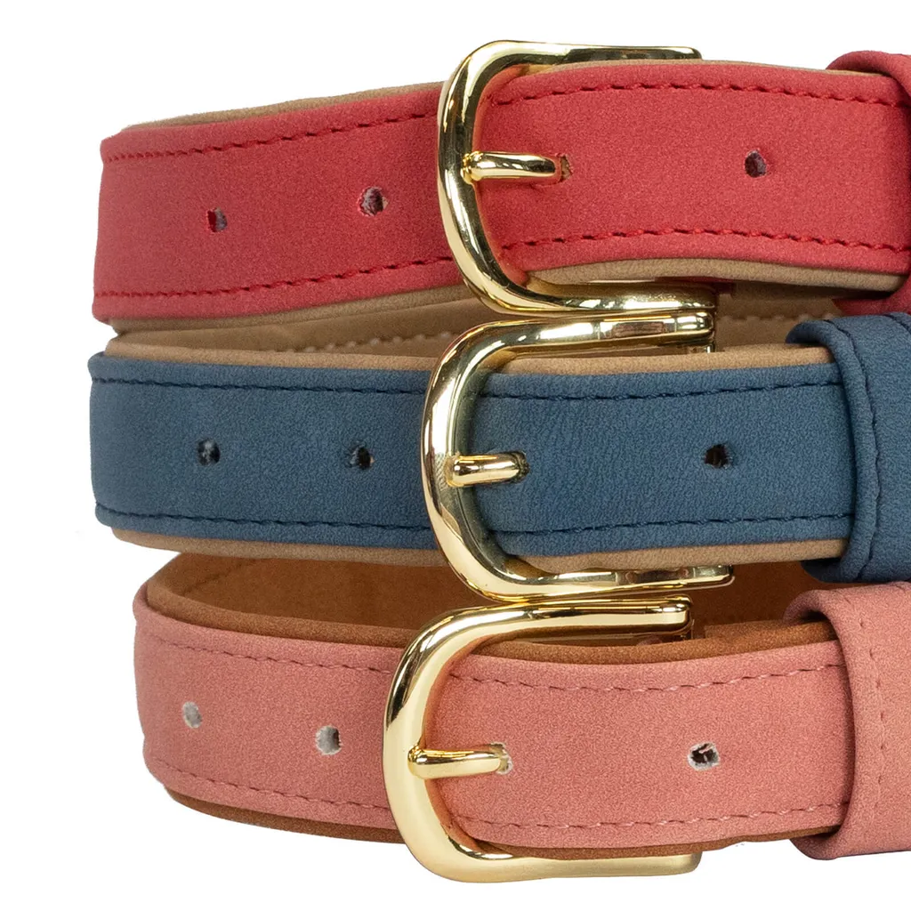 Collare Cani Kentucky Dogwear Rosso Velluto M | Accessori Lusso