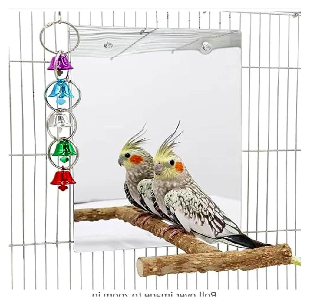 Großer Vogelspiegel mit Sitzstange und Schaukelglockenspiel, Zubehör für Vogelkäfige, geeignet für Wellensittiche, Sittiche und Nymphensittiche