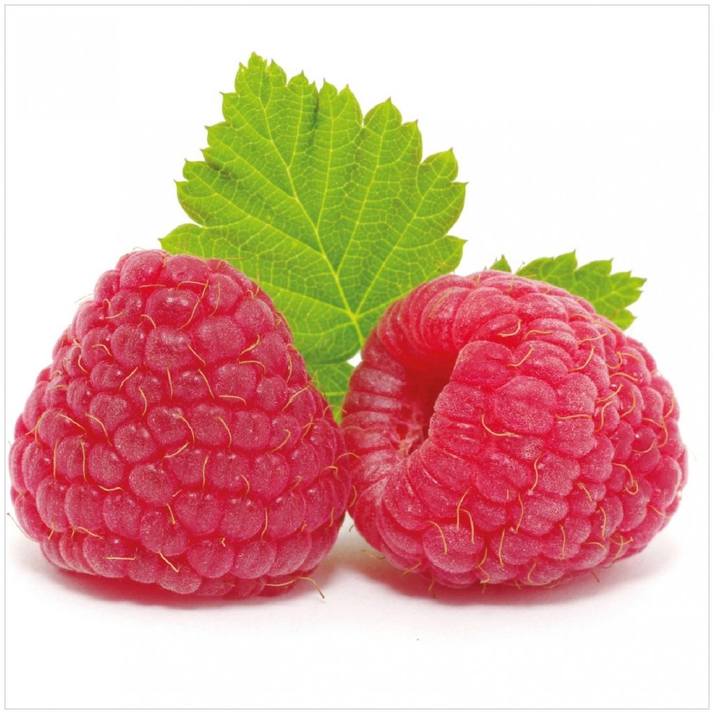 Wallario Premium Glasbild, freischwebende Optik, kräftige Farben, Größe 30 x 30 cm Motiv Himbeeren mit grünem Blatt auf weißem Grund