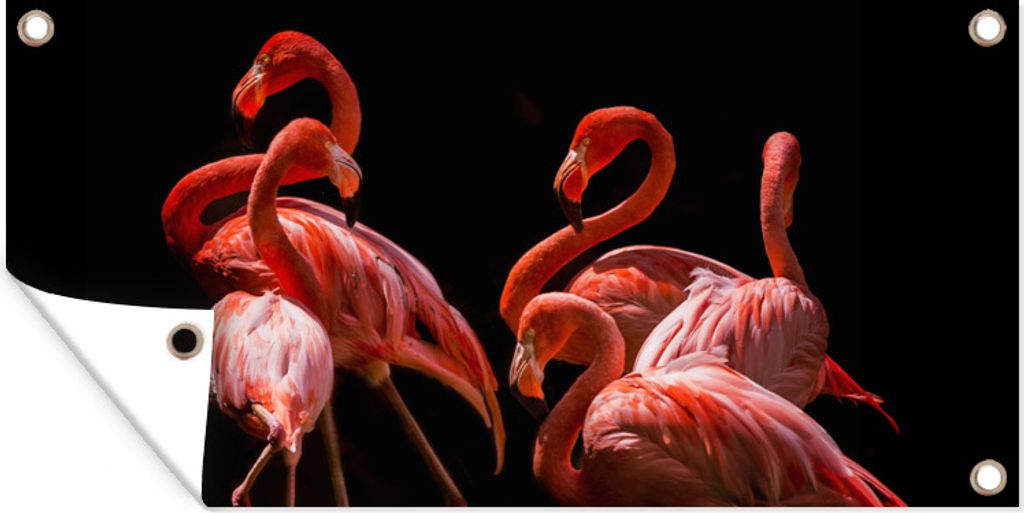 MuchoWow 160x80 cm Outdoor-Poster Gartendeko Sichtschutz Garten Poster für den Garten Flamingos - Vögel - Federn - Schwarz