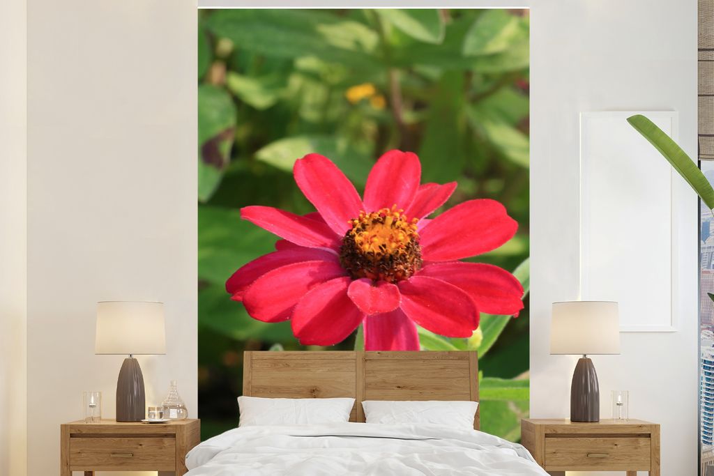 MuchoWow Fototapete für Wohnzimmer oder Schlafzimmer Wandtapete Vinyl Motivtapete Rote Zinnienblüte in Blüte - 170x260 cm - Wohnzimmertapete