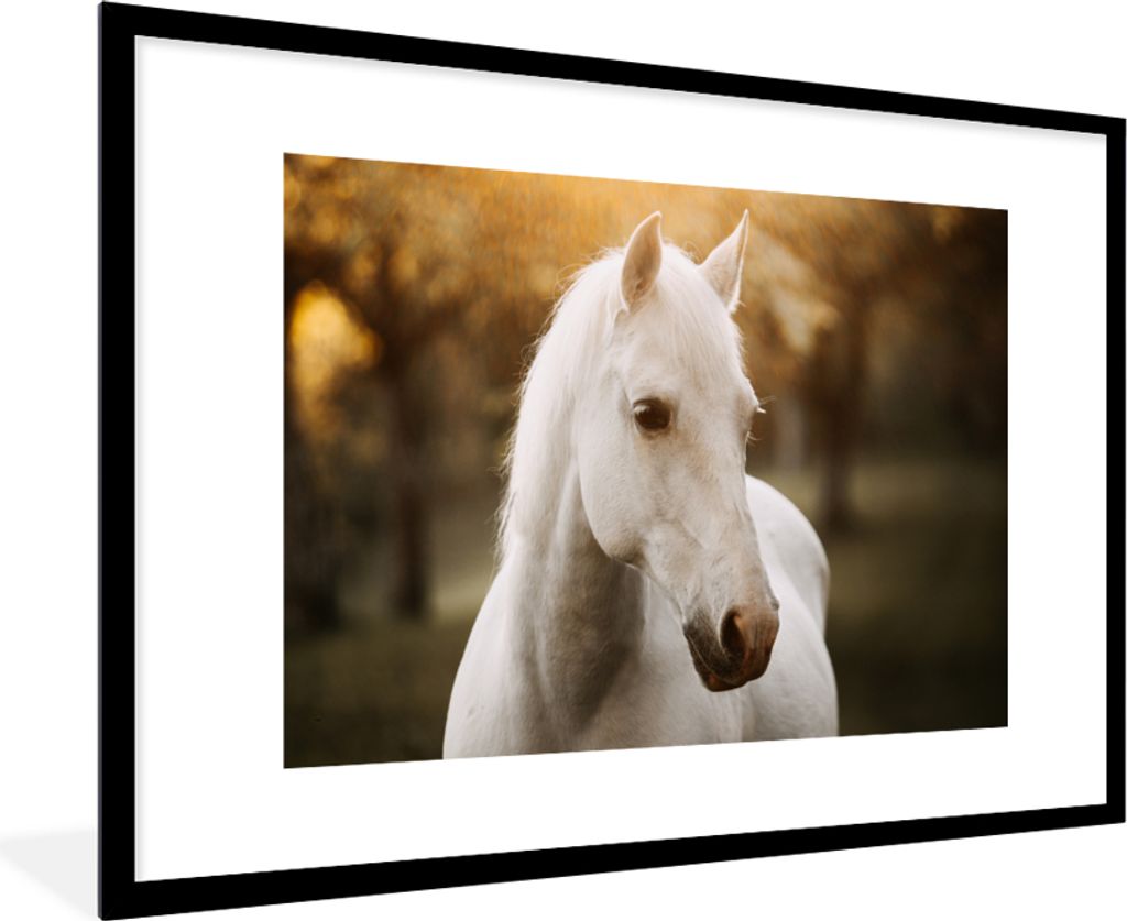 MuchoWow Gerahmtes Poster Pferd - Sonne - Herbst - Tiere - Natur 90x60 cm - Poster mit Schwarzem Bilderrahmen Wandposter Rahmen Foto Bilder - Wan...