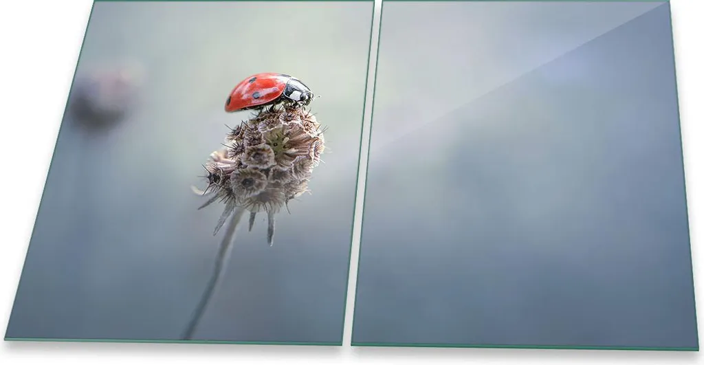 Set 2 Copri Piano Cottura 40x52 Animali Grigio - Vetro Sicuro per Bambini