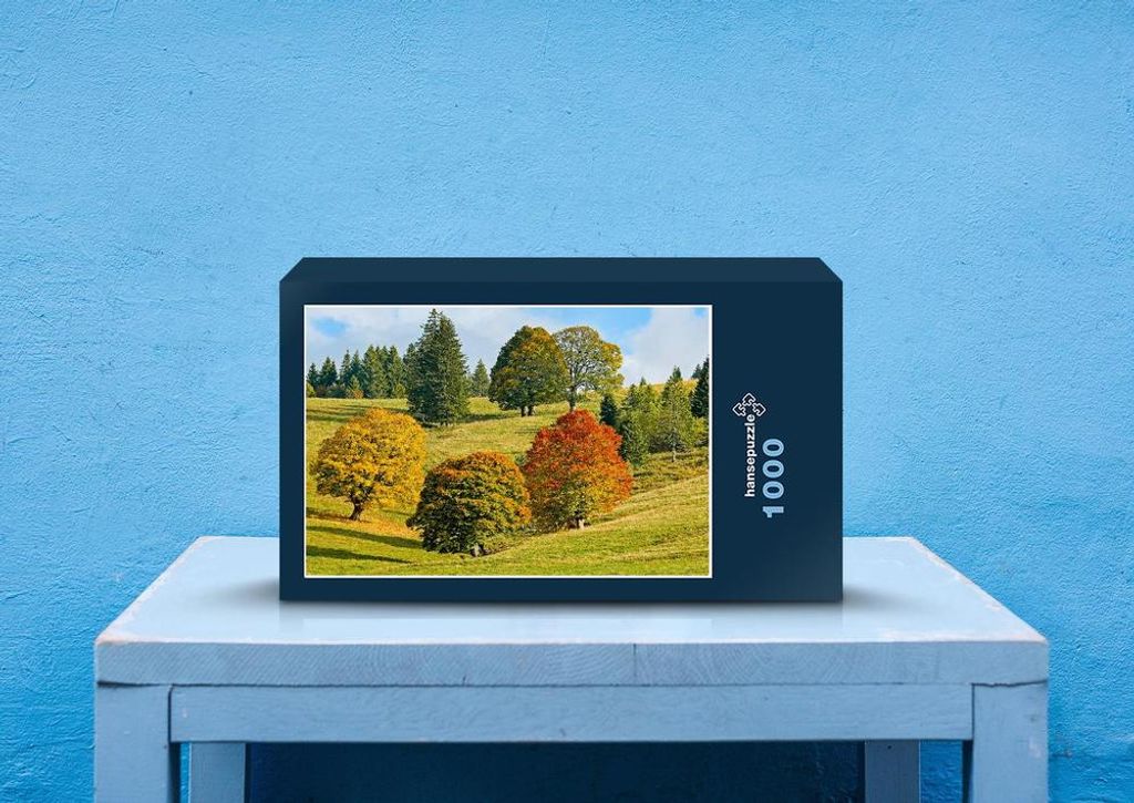 hansepuzzle 49590 - Herbstwald Puzzle, 1000 Teile, Natur, 60,0 x 46,0cm mit hochwertiger Aufbewahrung, Kartonbox und wiederverschließbarem Beutel
