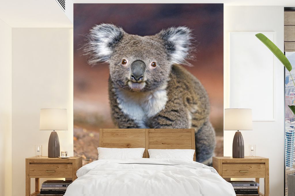 MuchoWow Fototapete für Wohnzimmer oder Schlafzimmer Wandtapete Vinyl Motivtapete Tiere - Koala - Australien - 175x240 cm - Schlafzimmertapete