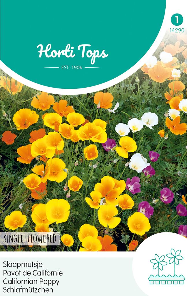 Schlafmützchen Einfache Mischung | Blumensamen von Hortitops