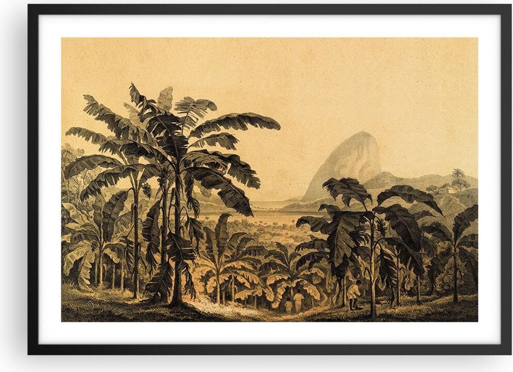 Gerahmtes Poster - Schwarzer Rahmen - Palmen Wald Regnerisch - 70x50 cm - Wand Bild - Wanddeko - Wandbilder - Kunstposter - Wandposter - Bilderrahm...