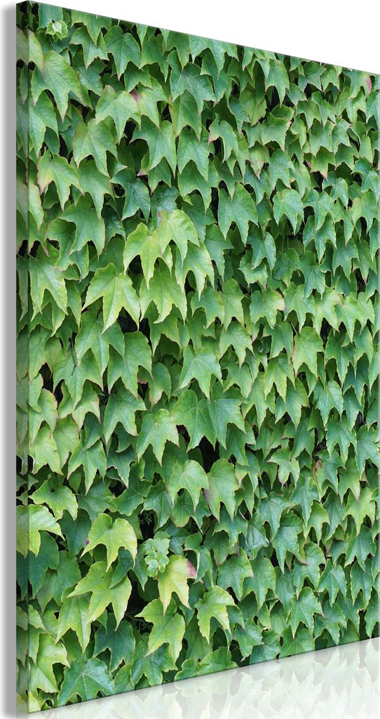 Italienischer Leinwand Leinwandbild - Thick Ivy (1 Part) Vertical 60x90 cm Blätter b-A-0485-b-a