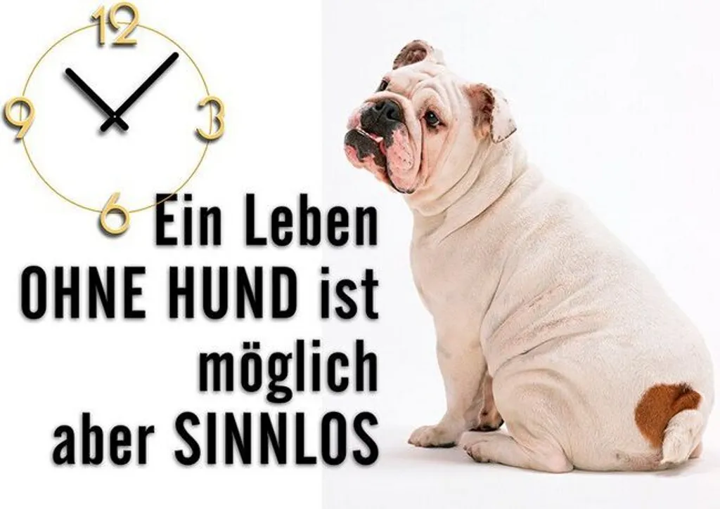 Offerta Orologio Parete Dixtime 6157 | 35x50cm Prezzo Outlet