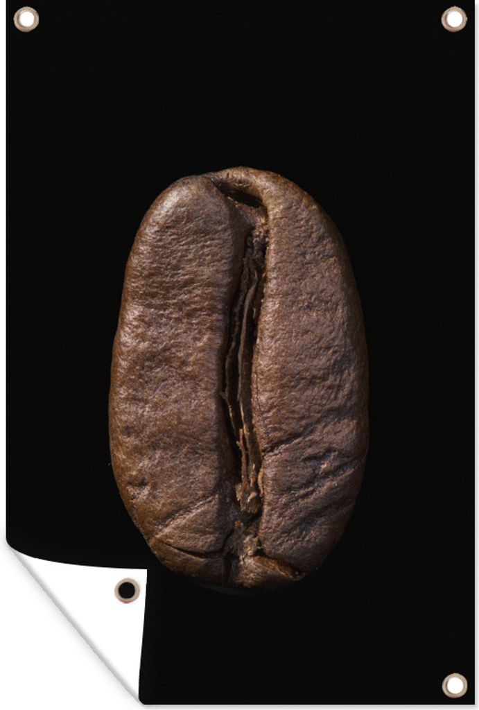 MuchoWow 80x120 cm Outdoor-Poster Gartendeko Sichtschutz Garten Poster für den Garten Nahaufnahme einer einsamen -Kaffeebohne
