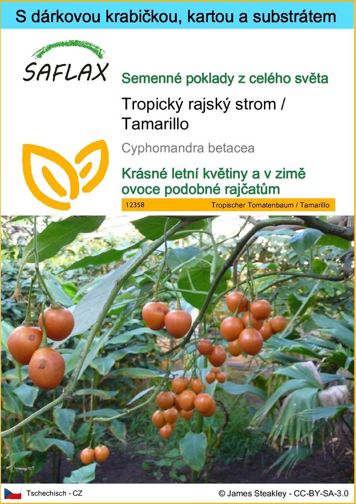 SAFLAX Dárková sada - Tropický rajský strom / Tamarillo - Obrázek produktu 