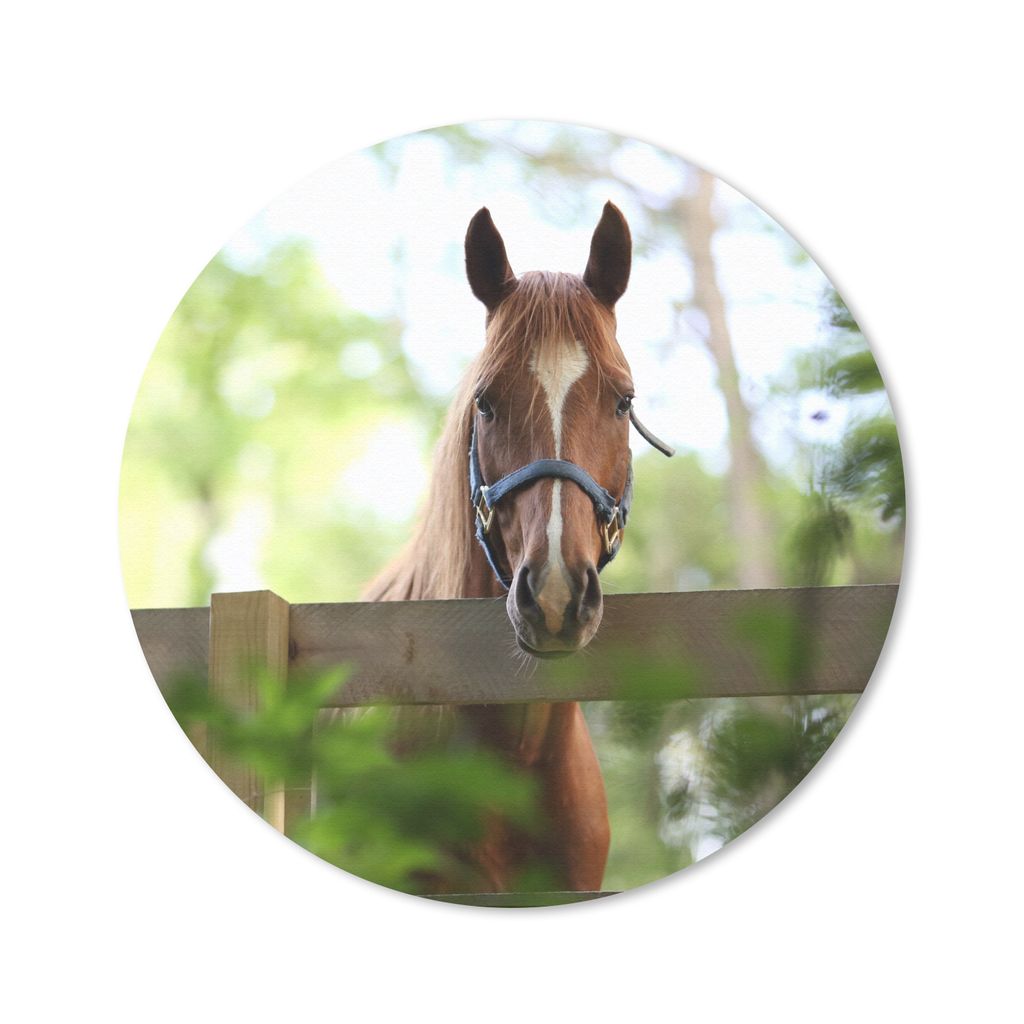MuchoWow Mauspad Mousepad Pferd - Natur - Zaun 30x30 cm - Mousepads - Maus Mat - Pad - Mausunterlage - Tischunterlage - Schreibtischmatten