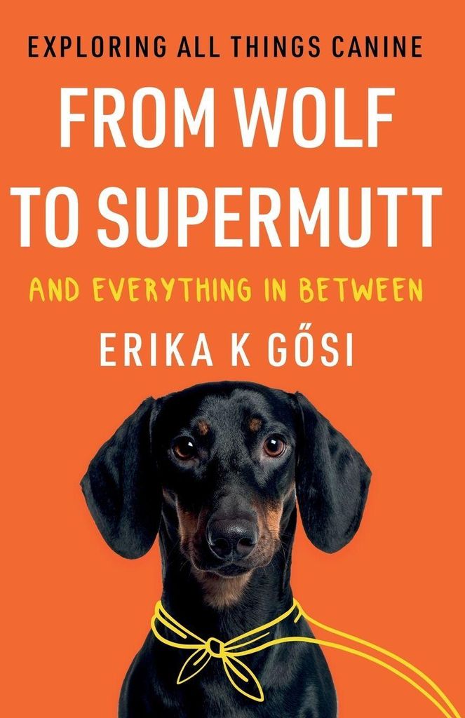 Von Wolf bis Supermutt und alles dazwischen