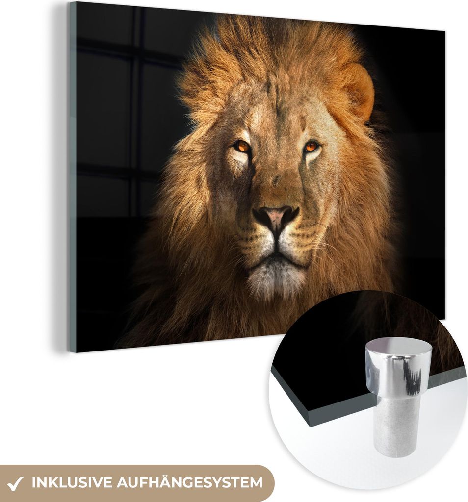 MuchoWow Glasbilder - Bilder auf Wandbild - Foto auf Glas Löwe - Tiere - Schwarz - Hell - Braun - Porträt 120x80 cm Wanddekoration aus Glas - Acr...