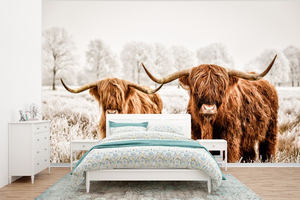 MuchoWow Fototapete für Wohnzimmer oder Schlafzimmer Wandtapete Vinyl Motivtapete Schottischer Highlander - Tiere - Stier - 350x260 cm - Wohnzim...