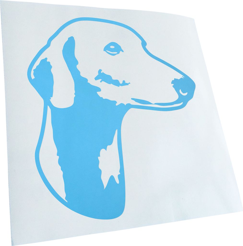 Kiwistar - Autoaufkleber - Azawakh Hund - Lichtblau - 50x45cm - Aufkleber für Auto, Laptop, Fahrrad, LKW, Motorrad mehrfarbig JDM Decal Racing