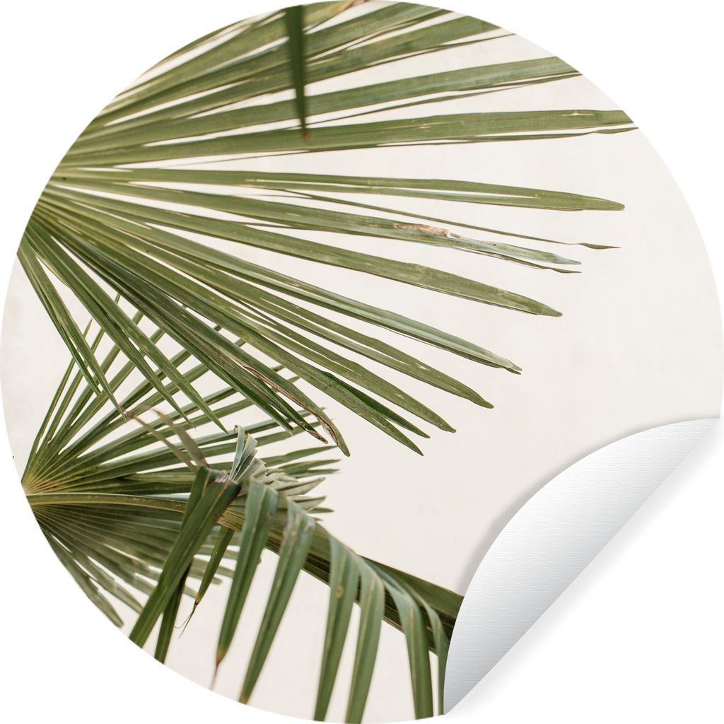 MuchoWow Runde Wandtattoo - Wandsticker Tapete Aufkleber Palmwedel - Grün - Natur Ø 100 cm Selbstklebend und Repositionierbar - Wandaufkleber -...