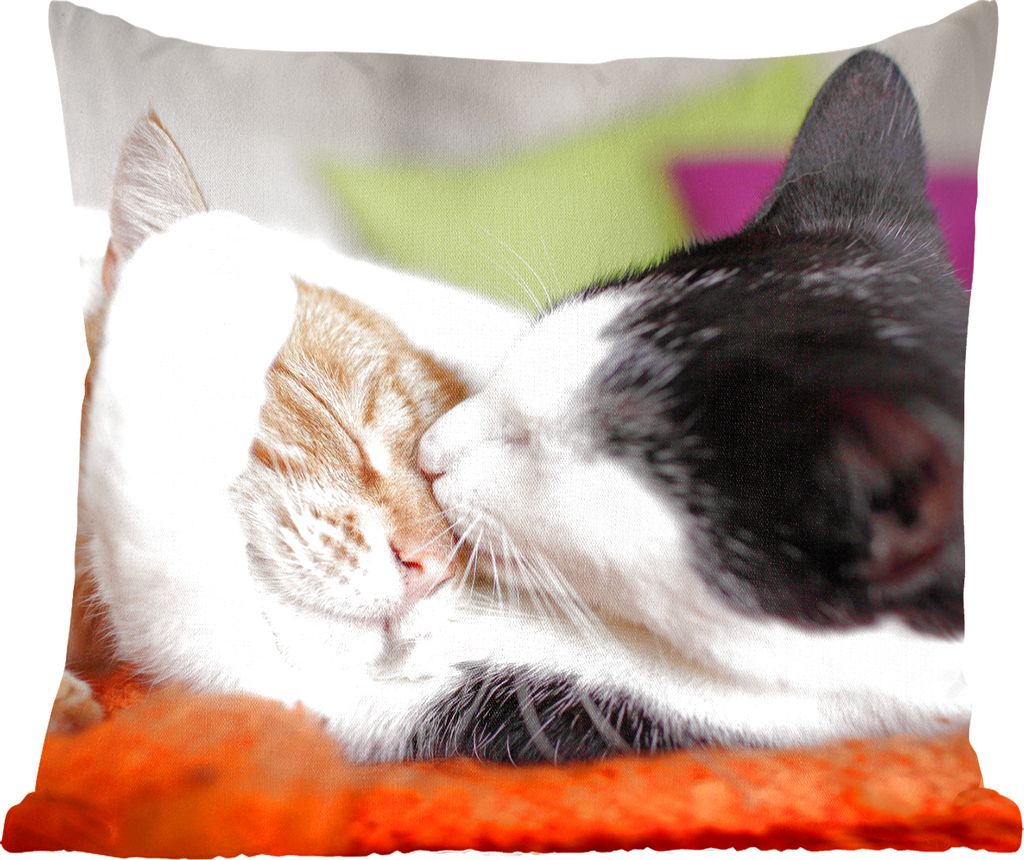 MuchoWow Zierkissen Sofakissen Wohnzimmer Dekokissen 40x40 cm Katzen - Kuscheltier - Animal Day - Foto Kissen - Schlafzimmer Dekoration