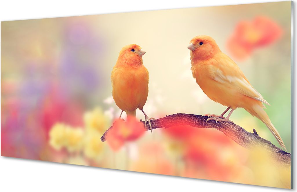 Glasbilder 100x50 Wandkunst bunter Papagei