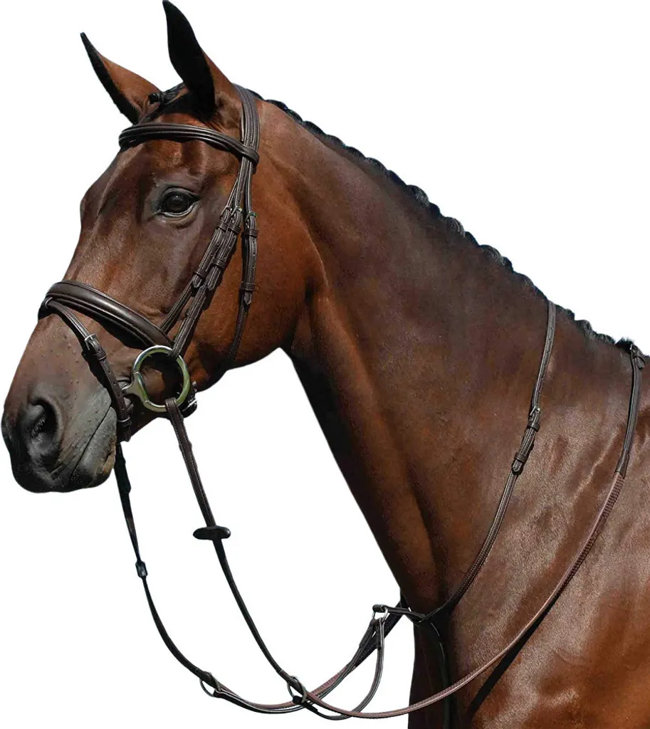 Anneau martingale facile à nettoyer Collegiate Syntovia+ marron WB1427