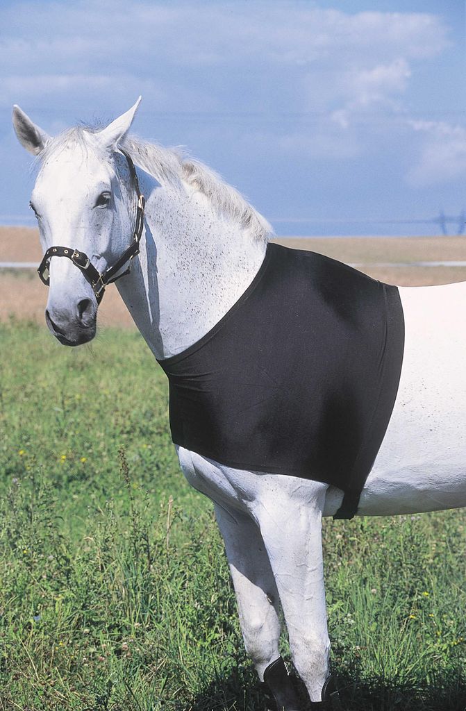 EQUITHÈME Schulterschutz gegen Scheuern Clipverschluss Schwarz, Farbe:schwarz, Größe: XL/Kaltblutgröße