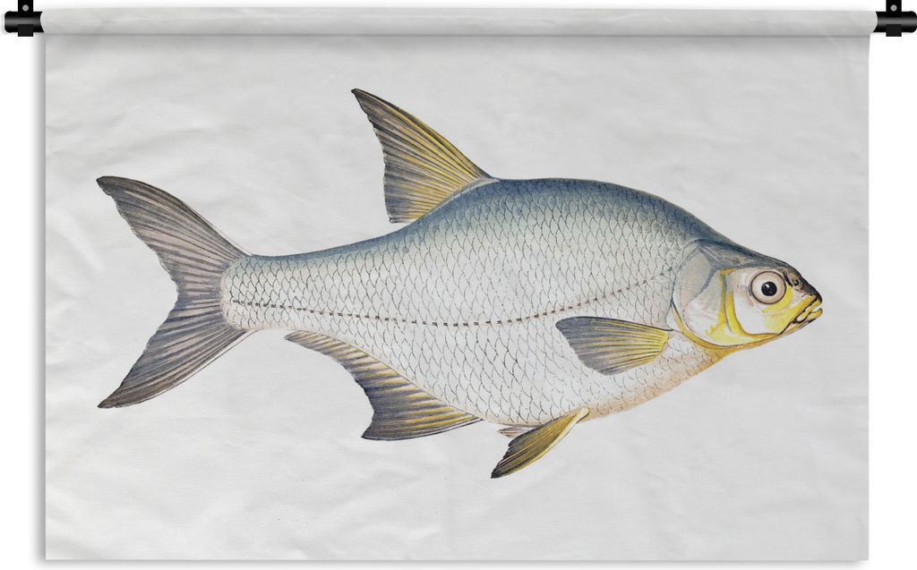 MuchoWow Wandteppich Wandbehang Fisch - Kolonie Realismus 90x60 cm Tapisserie Dekoration Wandtuch - Wandskulpturen - Bildteppich