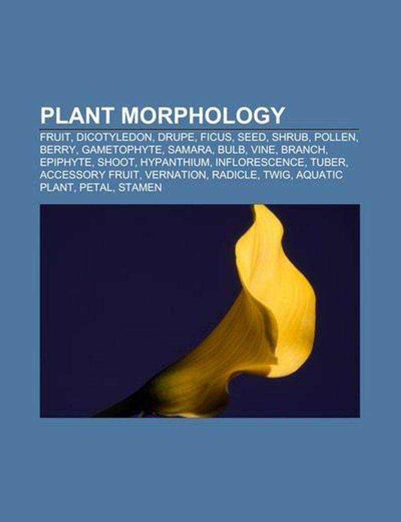 Plant morphology
