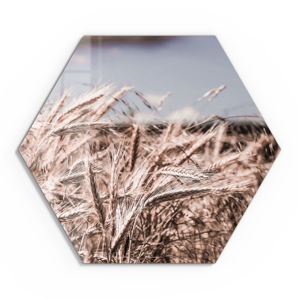 DEQOART Glasbild Echtglas 55x48 cm 'Sommerlicher Flimmer' Wandbild Bild modern Deko