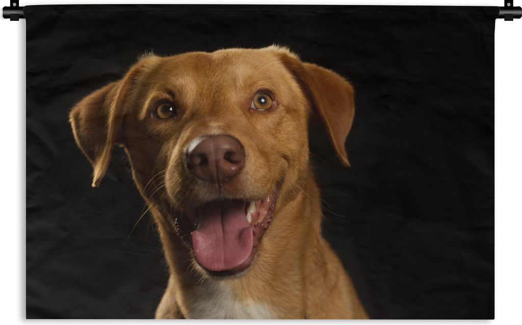 MuchoWow Wandteppich Wandbehang Hund - Haustiere - Porträt 120x80 cm Tapisserie Dekoration Wandtuch - Wanddekorationen - Wandtücher