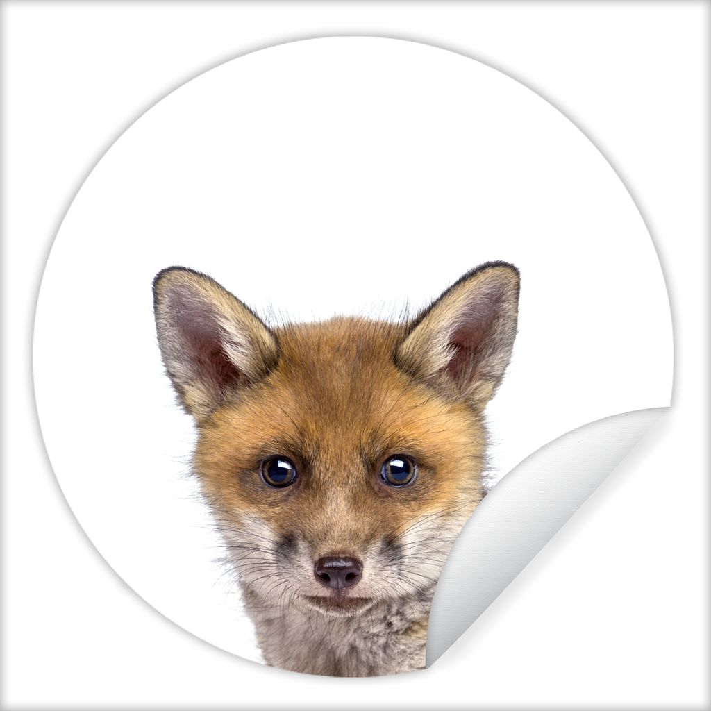 MuchoWow Runde Wandtattoo - Wandsticker Tapete Aufkleber Tiere - Jungen - Wald - Weiß - Kinder Ø 80 cm Selbstklebend und Repositionierbar - Wan...