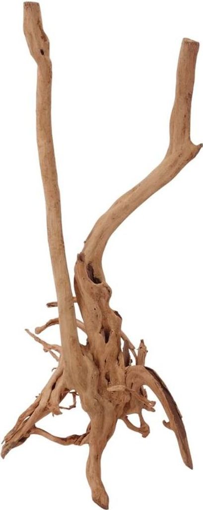 M Stump Wurzel Nr.2421 Holz Deko Aquascaping