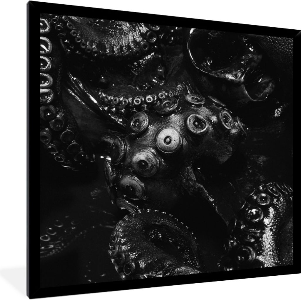 MuchoWow Gerahmtes Poster Nahaufnahme Oktopus auf schwarzem Hintergrund in schwarz und weiß 40x40 cm - Poster mit Schwarzem Bilderrahmen Wandpos...