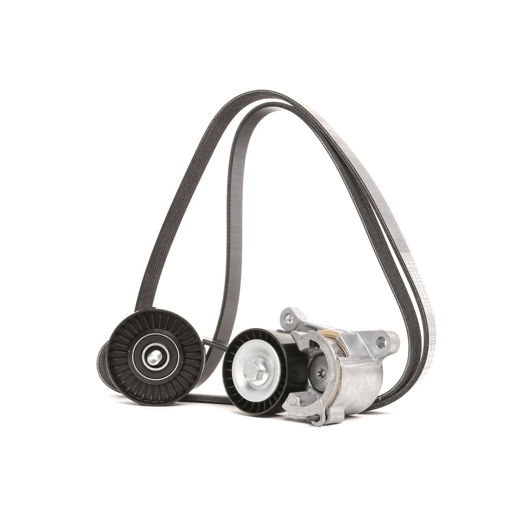 RIDEX 542R0154 Keilrippenriemensatz für FIAT Ulysse (179)