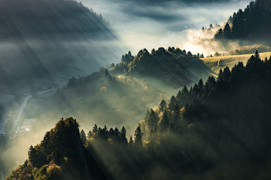 Muralo Fototapete Wald im Nebel 104 (B) x 70.5 (H) cm Vlies Tapete Wandtapeten Gebirge Bäume Wohnzimmer Schlafzimmer moderne Wandbilder XXL Landsc...