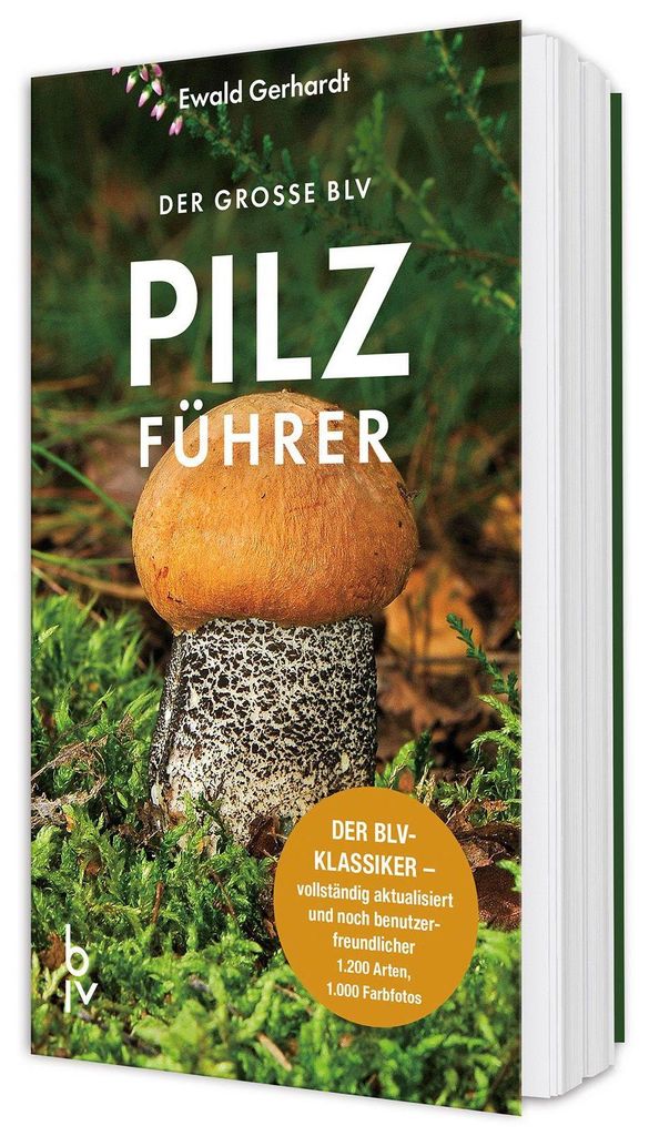 Der große BLV Pilzführer Produktbild 