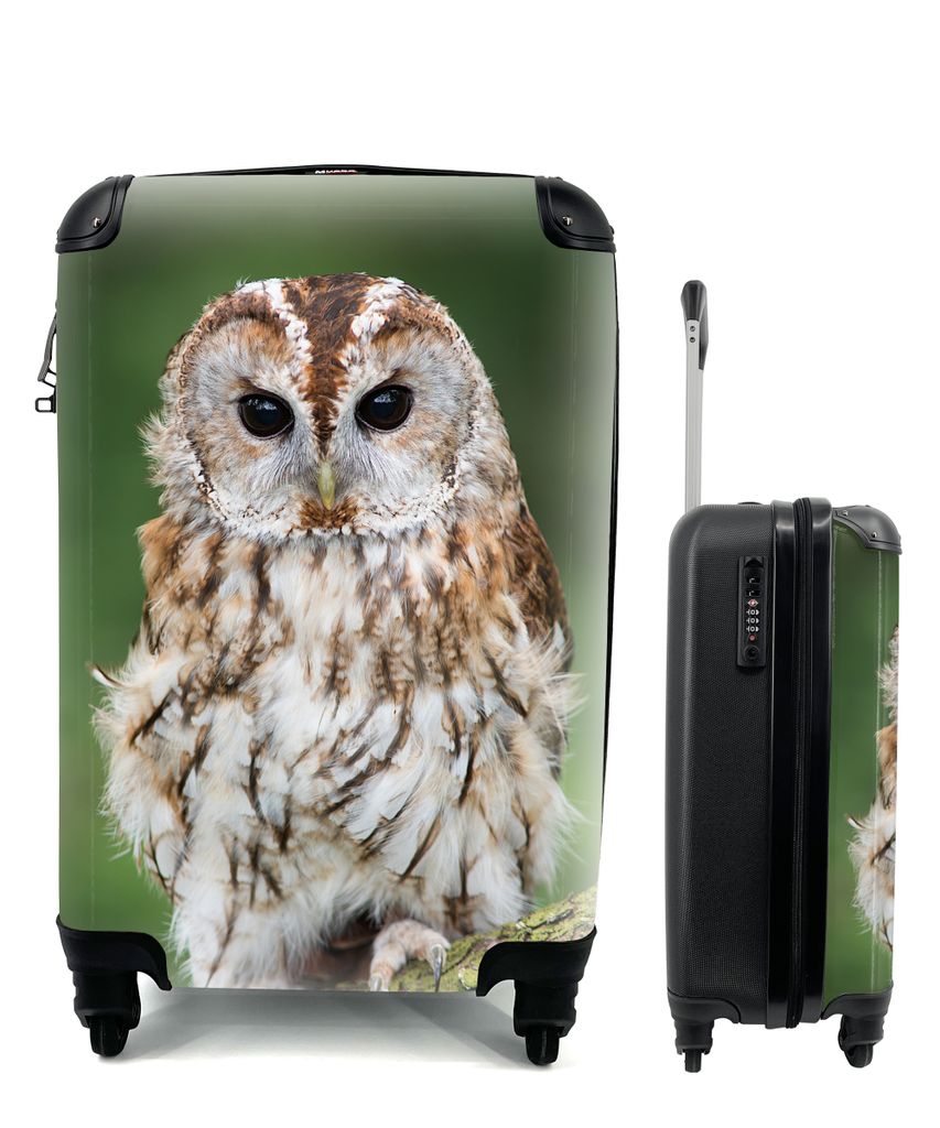 MuchoWow Koffer Handgepäck Trolley Rollkoffer Kleine Reisekoffer mit 4 Rollen - Braune Eule sitzt auf einem Baum - Cabin Size < 55x40x23 cm & 55...