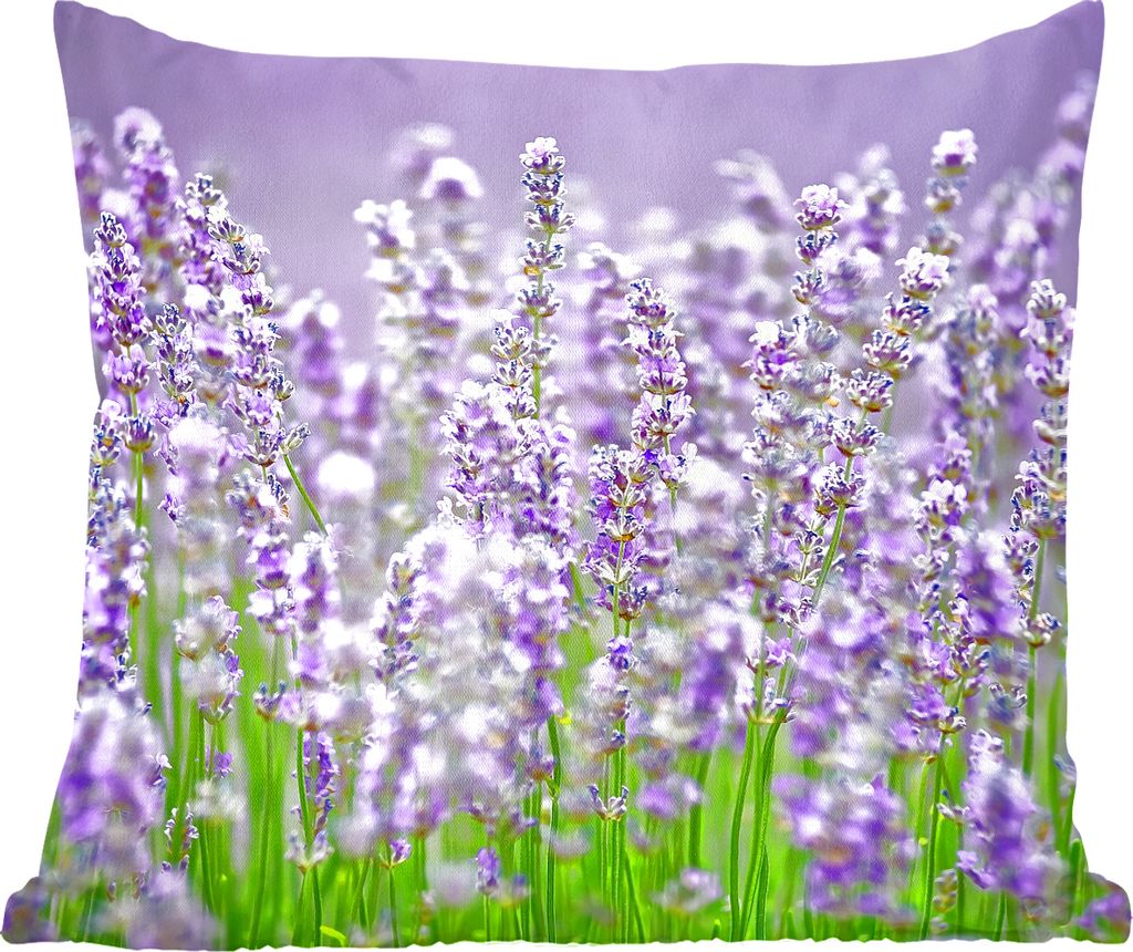 MuchoWow Zierkissen Sofakissen Wohnzimmer Dekokissen 60x60 cm Nahaufnahme des violetten wilden Lavendels - Sitzfläche - Foto Polster
