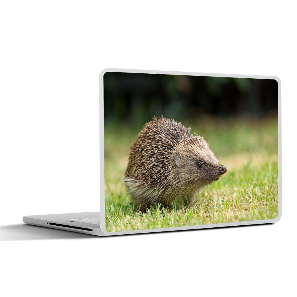 MuchoWow Laptop Aufkleber Sticker Cover Igel im Garten 30x21 cm - Sticker für Laptop - Selbstklebend