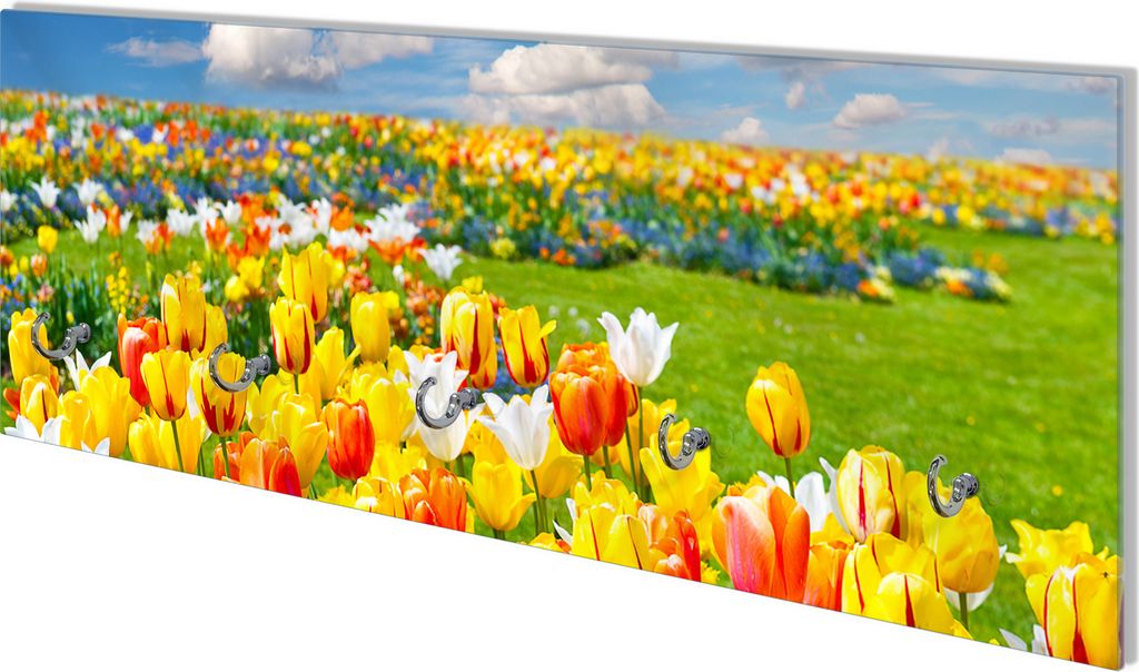 Wallario Flurgarderobe Wandgarderobe aus Glas, mit 5 Haken, Größe 80 x 30 cm, Motiv Tulpenwiese unter blauem Himmel