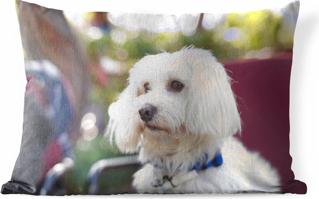 MuchoWow Outdoor Kissen - Niedlicher Malteser Hund - 50x30 cm - Wetterfest - Lounge Kissen - Sofa kissen - Wohnzimmer Dekoration