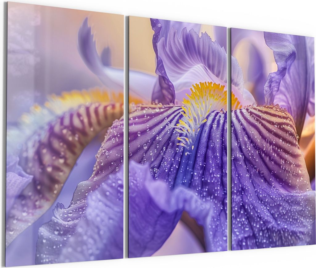 DEQORI Glasbild Echtglas 3x50x100 cm 'Violetter Morgentau' Wandbilder XXL groß