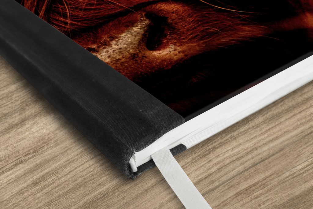 MuchoWow Notizbuch Tagebuch Haushaltsbuch Notebook A5 Schottischer Highlander - Kuh - Hörner - Porträt - Tiere - Notizblock - Notizheft - Noteb...