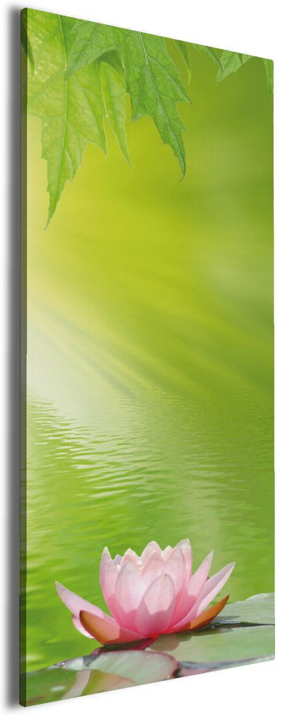 Wallario Premium Leinwandbild Seerose auf dem Wasser in Größe 50 x 125 cm